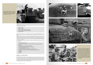 AK Interactive AK130010 VEHICLES OF THE POLISH 1ST ARMOURED DIVISION – CAMOUFLAGE PROFILE GUIDE - English – immagine 2