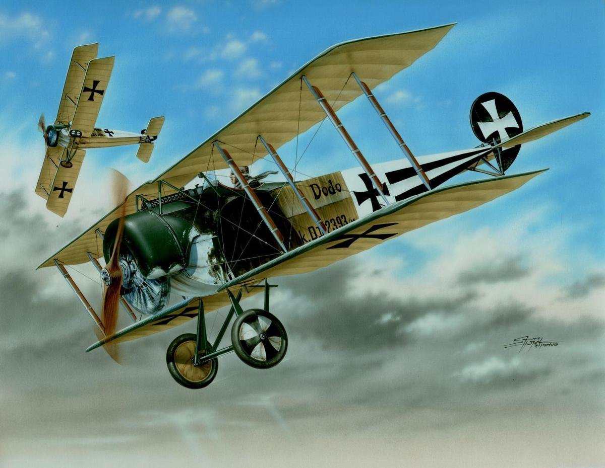 Special Hobby 48038 Fokker D. II Noir / Queue blanche 1/48