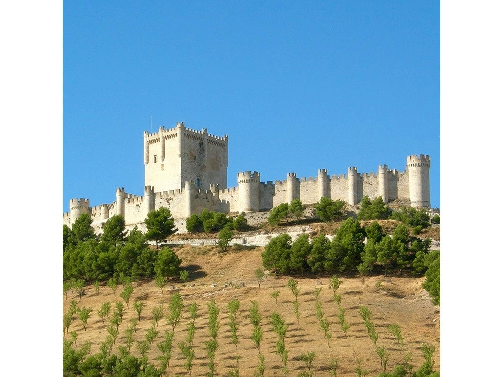 Aedes Ars 1017 Castillo De Penafiel 1/260