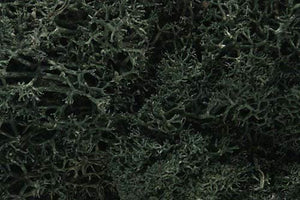 Woodland Scenics WL164 Dark Green Lichen