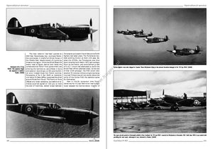 Kagero 3036 Curtiss P-40 vol. I EN – Bild 2