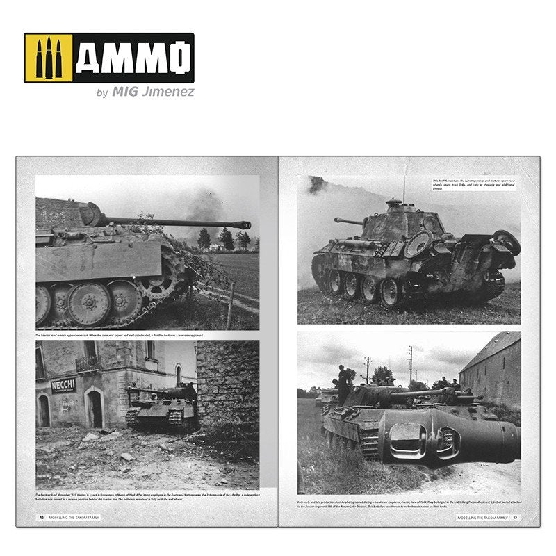 AMMO of Mig Jimenez 6270 Panthers – Modelling the TAKOM Family (English) – immagine 9