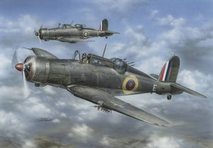Special Hobby 72141 Blackburn Roc Mk.I 1/72