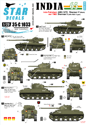 Star Decals 35-C1033 India 1965 1/35