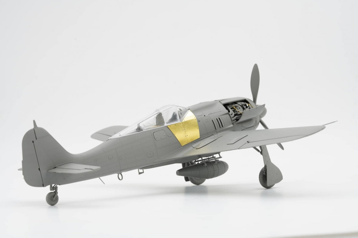 Border Model BF-009 Focke-Wulf FW-190A-8 4 in 1 (R2; R6; R7; R8) 1/35 – immagine 10