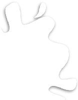 Gunze Sangyo C182 Flat Clear
