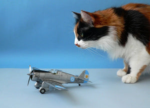 Hélice transparente ! Kit avancé CP4803 H-75O Hawk 1/48 – image 18