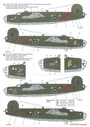 Techmod 72163 B-24 Liberator 1/72 – immagine 4
