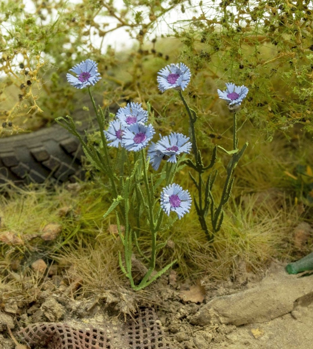 Model Scene VG3-044 Cornflower 1/32 1/35