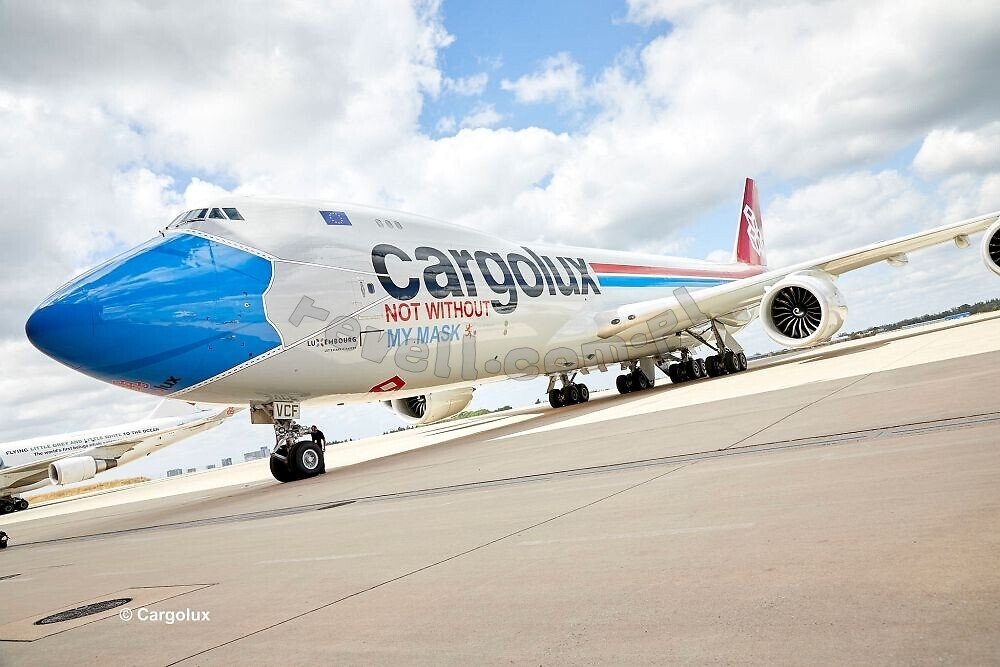 Revell 03836 Boeing 747-8F Cargolux &amp;quot;Facemask&amp;quot; 1/144 – immagine 2