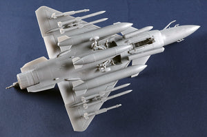 Trumpeter 01690 PAF J-10CE Multi-Role Fighter &amp; IAF Rafale 2 in 1 1/72