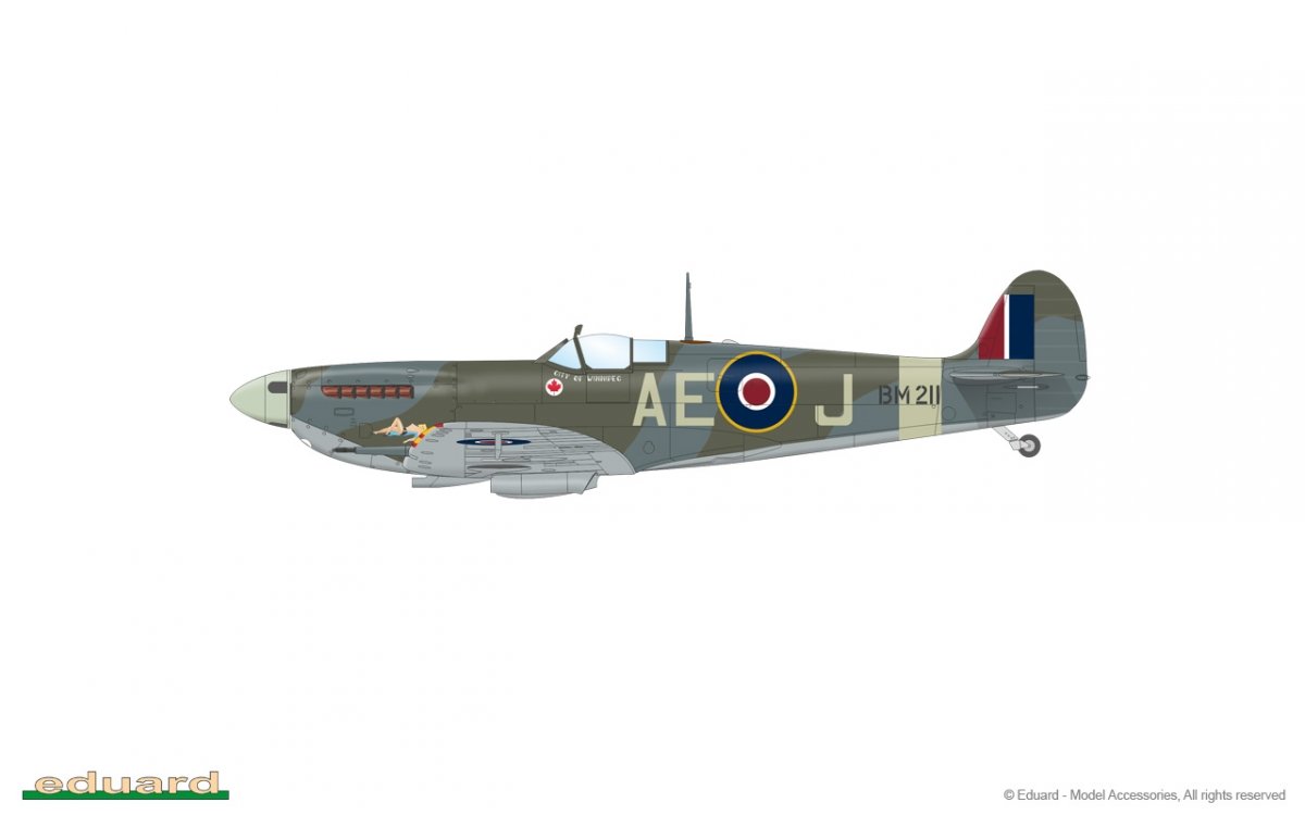 Eduard 84186 Spitfire Mk. Vb mid 1/48 – imagen 10