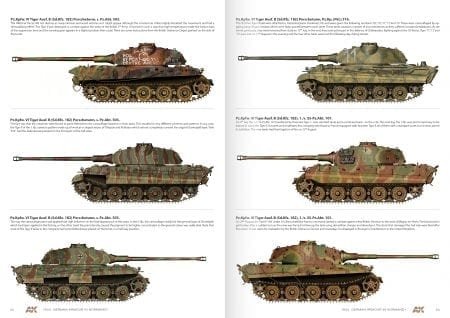 AK Interactive AK916 1944 GERMAN ARMOUR IN NORMANDY – CAMOUFLAGE PROFILE GUIDE – immagine 6