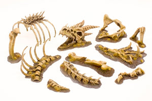Paint Forge PFRB5001 Dragon Bones Big Set – imagen 2