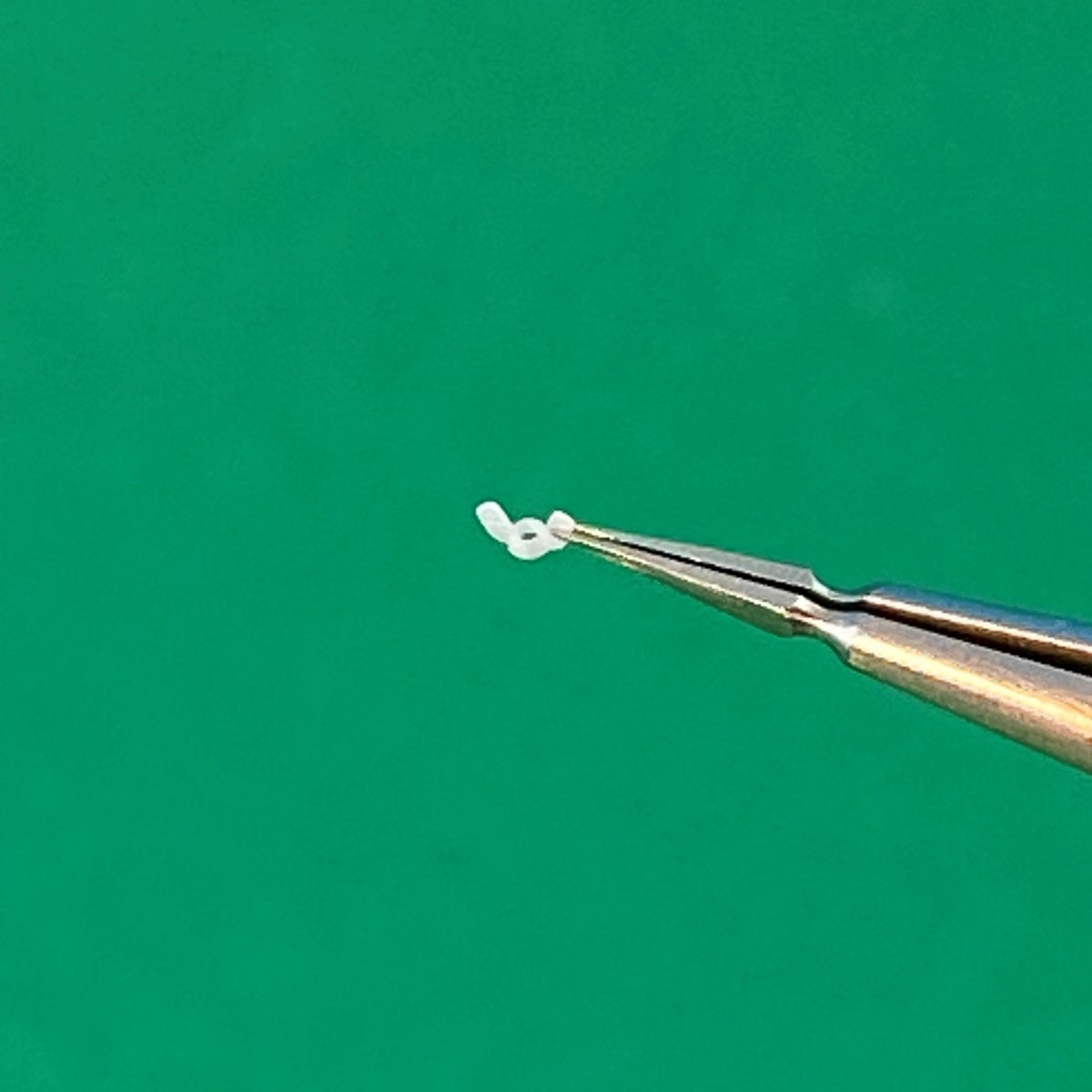 Point of no Return 1623001 Nakrętki motylkowe M6 / M6 wing nuts 1/16 – immagine 8