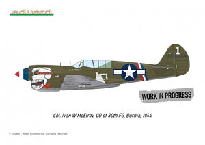 Eduard R0025 P-40N WARHAWK ROYAL CLASS DUAL COMBO 1/48 – image 3