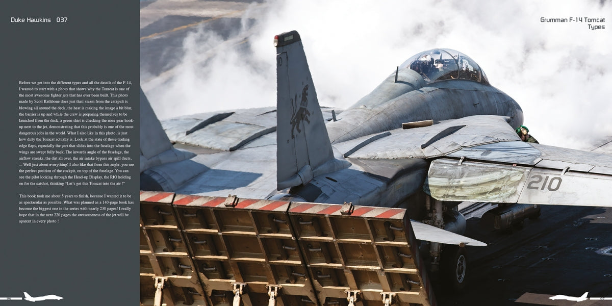 HMH Publications DH-037 Grumman F-14 Tomcat - Aircraft in Detail 037 (English Version) – immagine 4
