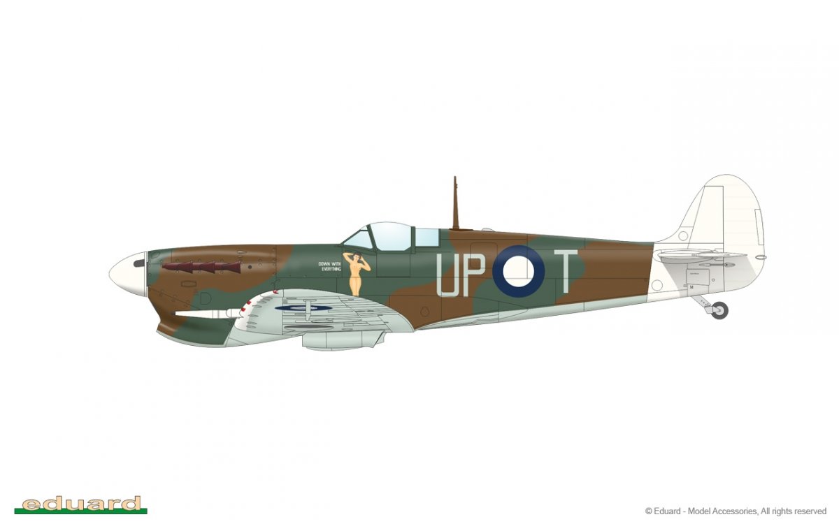 Eduard 82126 Spitfire Mk. Vc TROP 1/48 – Bild 9