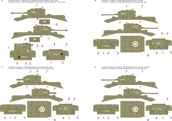 ToRo Model 35D16 - Cromwell &amp;amp; Centaur tanks in Polish service vol.1 1/35 – immagine 3