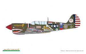 Eduard 11193 15,000th P-40N Warhawk 1/48