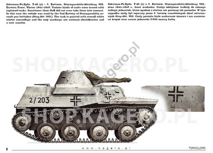 Kagero 15041 Beutepanzer (decals) PL/EN – image 3