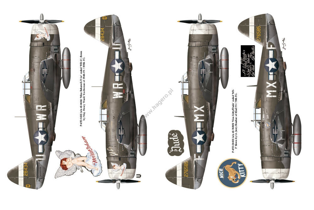 Kagero 12015 Thunderbolts of the U.S. 8th Army Air Force March 1943 - February 1944 EN – immagine 4