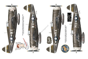 Kagero 12015 Thunderbolts of the U.S. 8th Army Air Force March 1943 - February 1944 EN – immagine 4