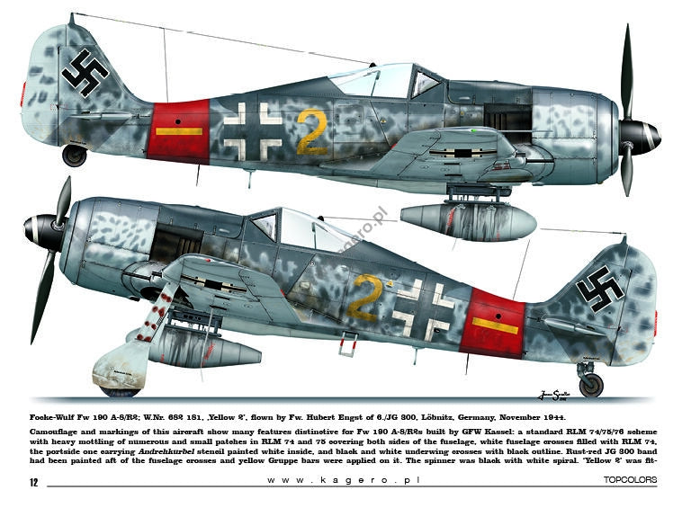 Kagero 15035 Fw 190s over Europe Part I (kalkomania/decals) EN/PL – immagine 3