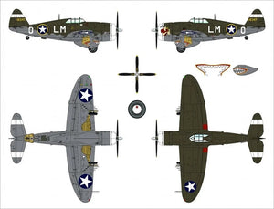 Dora Wings 48054 Republic P-47C Thunderbolt with Ferry Tank 1/48 – imagen 9