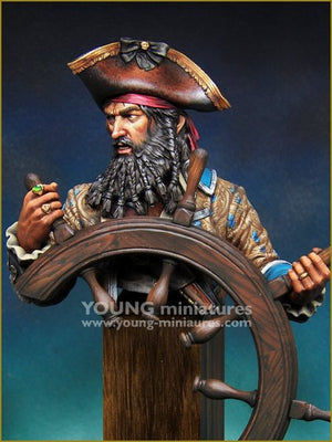 Young Miniatures YH1859 The PIRATE 1/10 – Bild 3