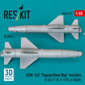 RESKIT RS48-0517 AGM-142 &amp;quot;Popeye/Have Nap&amp;quot; missiles (2 pcs) (3D Printed) 1/48 – immagine 3