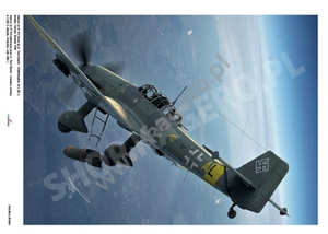 Kagero 7077 Junkers Ju 87 D, G EN/PL – Bild 6