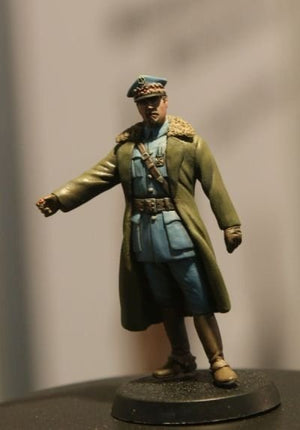 ToRo Model 35F105 Zaślubiny z Morzem 1920 / Polish-Bolshevik War 1920 - General Józef Haller 1/35 – immagine 3