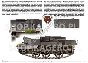 Kagero 15041 Beutepanzer (decals) PL/EN – image 4