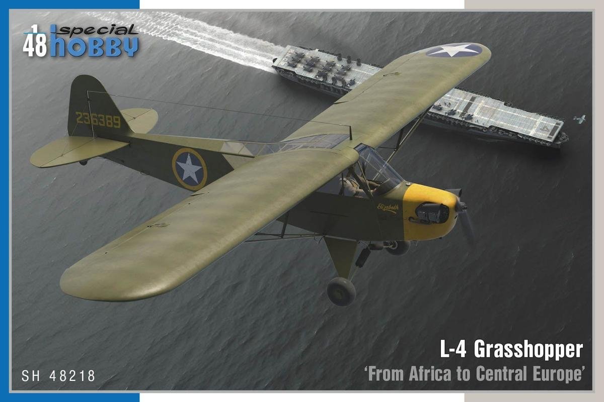 Special Hobby 48218 L-4 Grasshopper « De l&amp;#39;Afrique à l&amp;#39;Europe centrale » 1/48