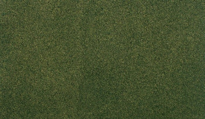 Projet d&amp;#39;herbe forestière Woodland Scenic RG5143 (31,7 x 35,8 cm)