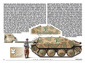 Kagero 15039 Panzers capturés, véhicules allemands au service des Alliés (décalcomanie) PL/EN – image 6