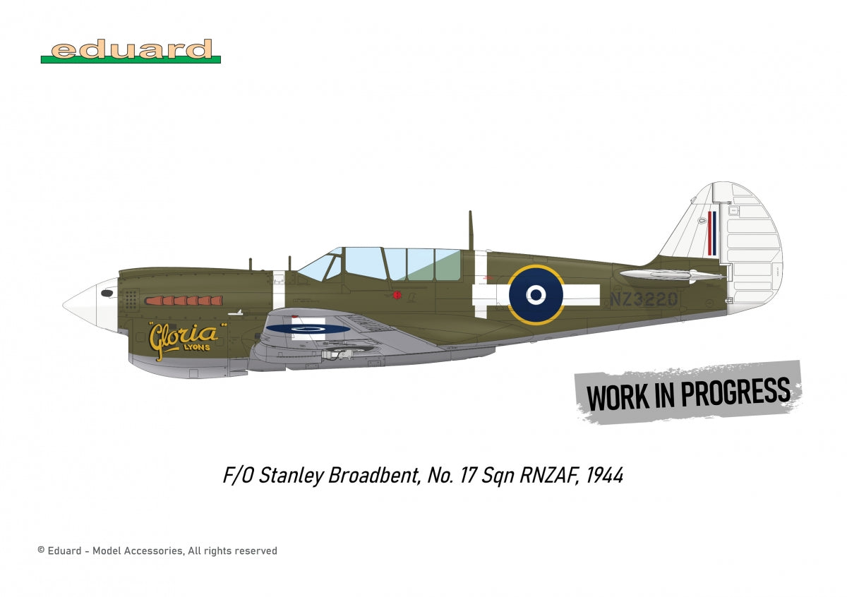 Eduard R0025 P-40N WARHAWK ROYAL CLASS DUAL COMBO 1/48 – image 5