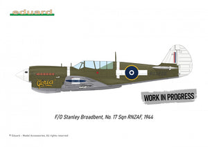 Eduard R0025 P-40N WARHAWK ROYAL CLASS DUAL COMBO 1/48 – image 5
