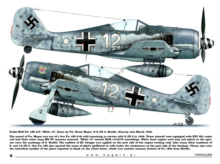 Kagero 15035 Fw 190s over Europe Part I (kalkomania/decals) EN/PL – immagine 2