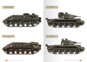 AK Interactive AK130010 VEHICLES OF THE POLISH 1ST ARMOURED DIVISION – CAMOUFLAGE PROFILE GUIDE - English – immagine 8