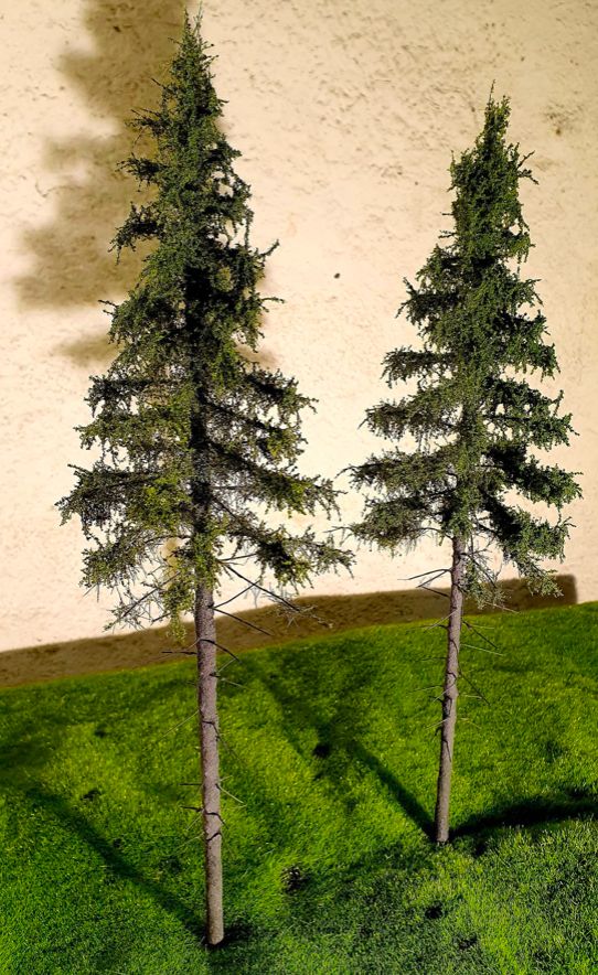 FREON SG2 Mountain Spruce - Świerk Wysokogórski Większy 18/20 cm 3 sztuki – Bild 3