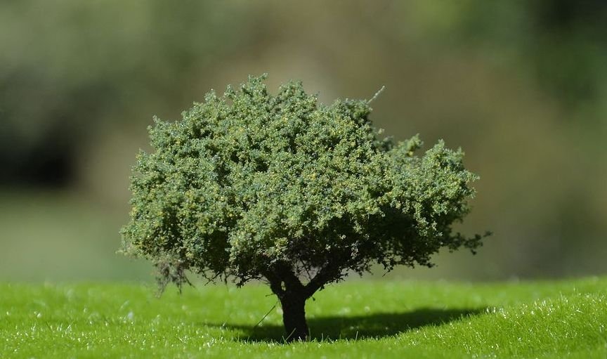 FREON KRZ Shrubs - Shrubs 4/8cm (1 pcs)