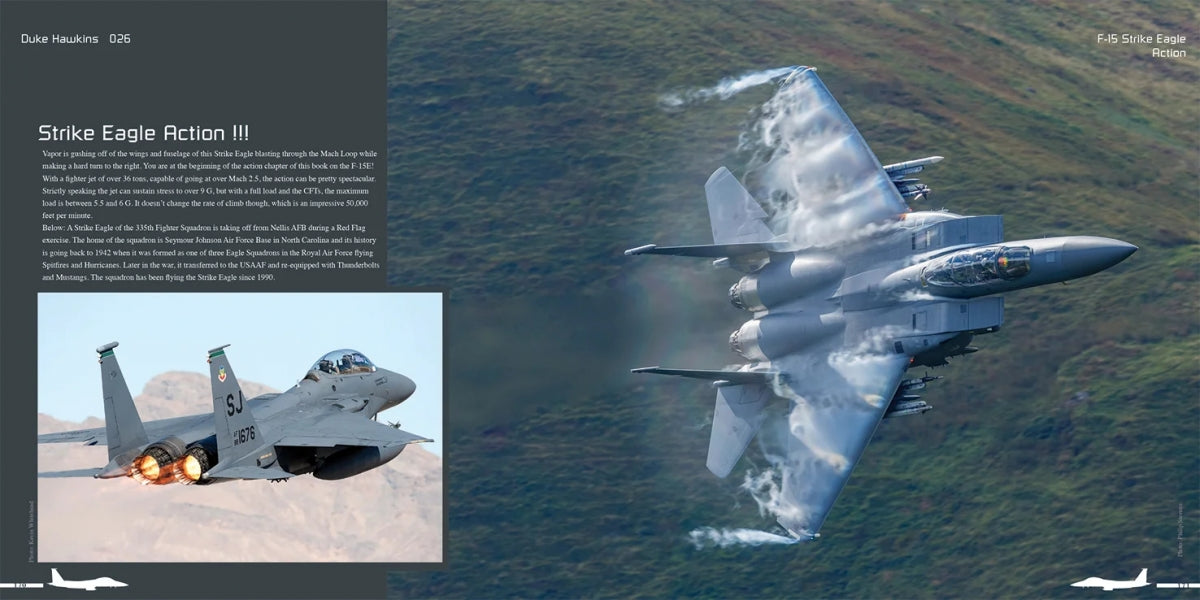 HMH Publications DH-026 Boeing F-15 E/K/SG Strike Eagle - Aircraft in Detail 026 (English Version) – immagine 12