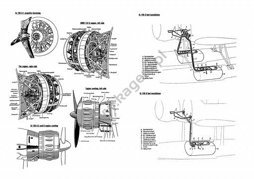 Kagero 3045 Arado Ar 196 EN – immagine 4
