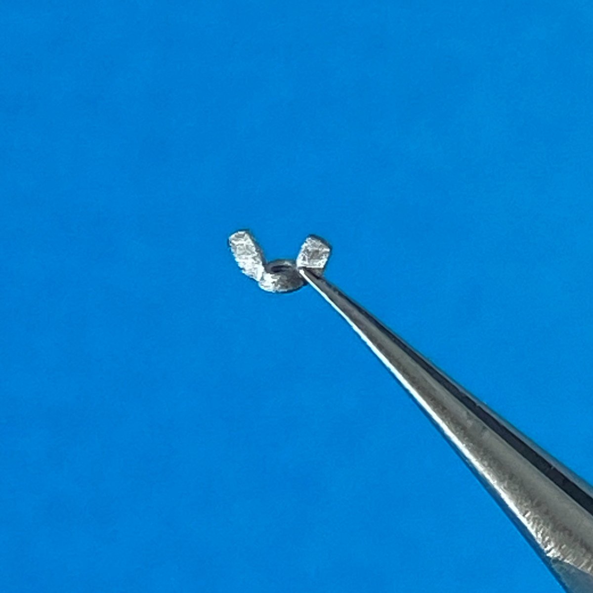Point of no Return 1623003 Nakrętki motylkowe M10 / M10 wing nuts 1/16 – immagine 5