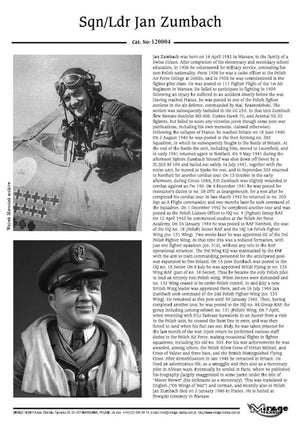 Mirage 120004 Sqn/Ldr Jan ZUMBACH (novembre 1944) 200 mm – image 4
