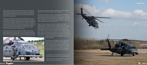 HMH-Publications DH-HC001 Eagles Rock - 48th Fighter Wing – Bild 9