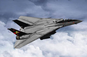 Trumpeter 03918 F-14B Tomcat 1/144