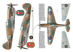Kagero 3036 Curtiss P-40 vol. I EN – Bild 3